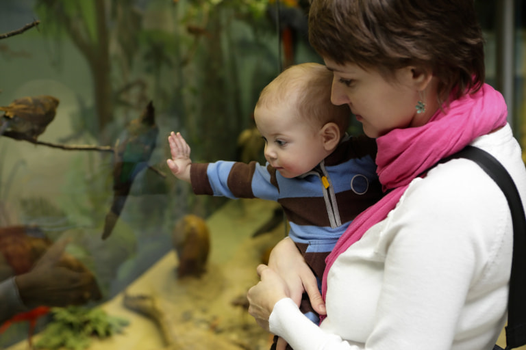 F0426 Parenting Family Activities