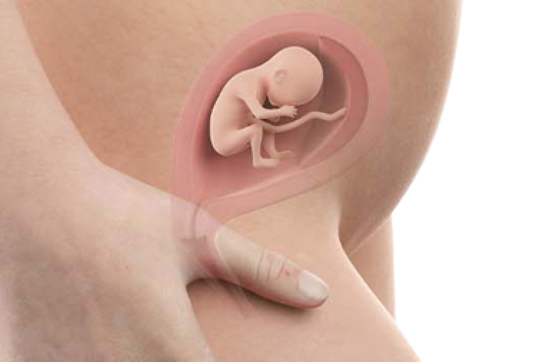 18 weeks pregnant