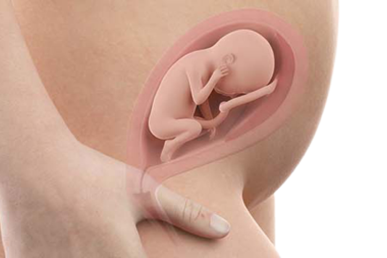 22 weeks pregnant
