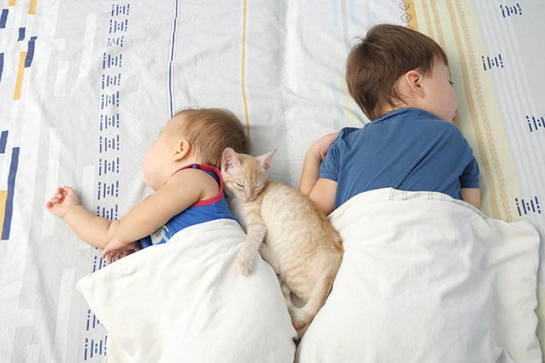 F501 Toddler 12 mo Parenting Tips